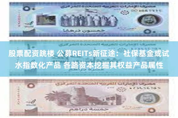 股票配资跳楼 公募REITs新征途：社保基金或试水指数化产品 各路资本挖掘其权益产品属性