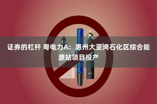 证券的杠杆 粤电力A：惠州大亚湾石化区综合能源站项目投产