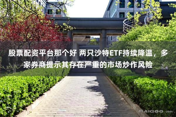 股票配资平台那个好 两只沙特ETF持续降温，多家券商提示其存在严重的市场炒作风险