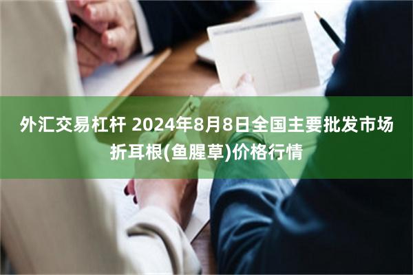 外汇交易杠杆 2024年8月8日全国主要批发市场折耳根(鱼腥草)价格行情