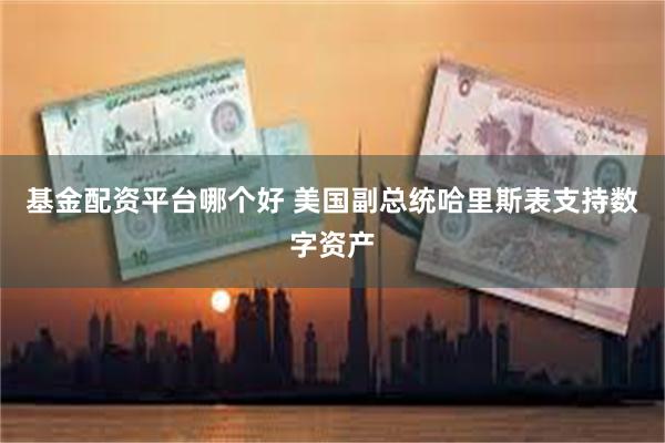 基金配资平台哪个好 美国副总统哈里斯表支持数字资产