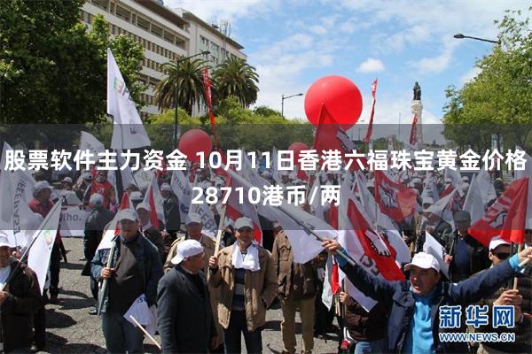 股票软件主力资金 10月11日香港六福珠宝黄金价格28710港币/两