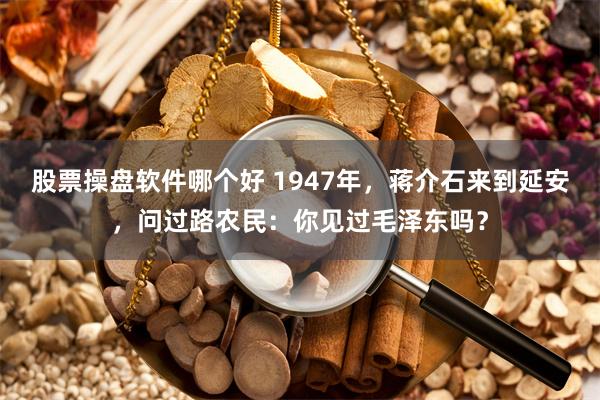 股票操盘软件哪个好 1947年，蒋介石来到延安，问过路农民：你见过毛泽东吗？