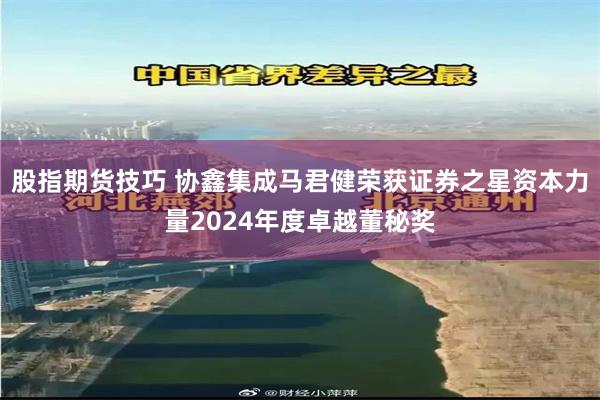 股指期货技巧 协鑫集成马君健荣获证券之星资本力量2024年度卓越董秘奖