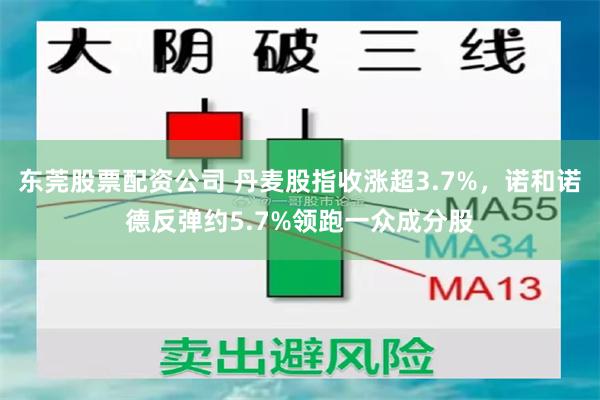 东莞股票配资公司 丹麦股指收涨超3.7%，诺和诺德反弹约5.7%领跑一众成分股