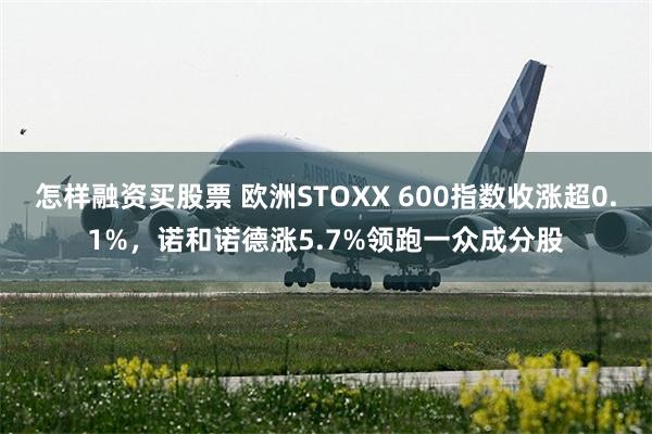 怎样融资买股票 欧洲STOXX 600指数收涨超0.1%，诺和诺德涨5.7%领跑一众成分股