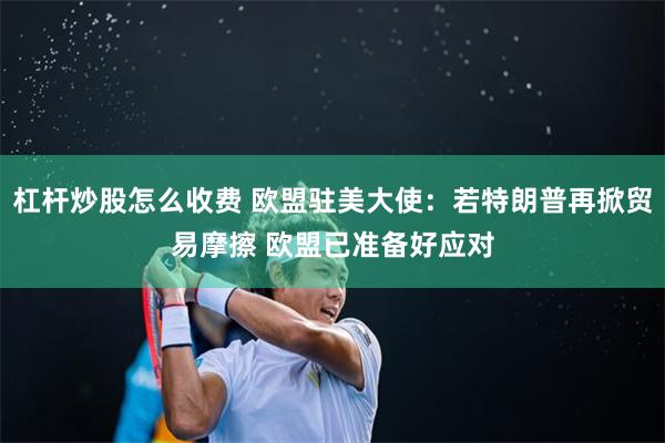 杠杆炒股怎么收费 欧盟驻美大使：若特朗普再掀贸易摩擦 欧盟已准备好应对