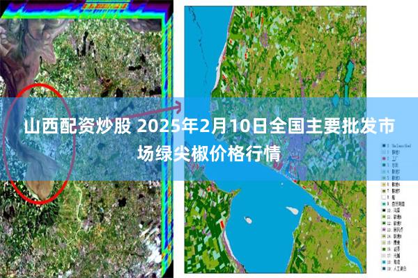 山西配资炒股 2025年2月10日全国主要批发市场绿尖椒价格行情