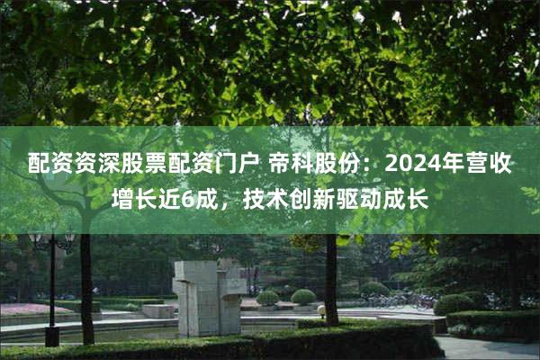 配资资深股票配资门户 帝科股份：2024年营收增长近6成，技术创新驱动成长