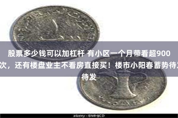 股票多少钱可以加杠杆 有小区一个月带看超9000次，还有楼盘业主不看房直接买！楼市小阳春蓄势待发